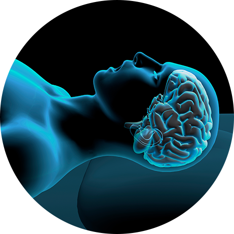 The science of <br>SleepHub® - explained