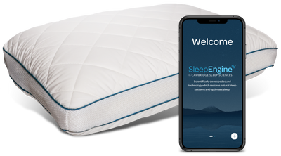 TechCo Performance Pillow